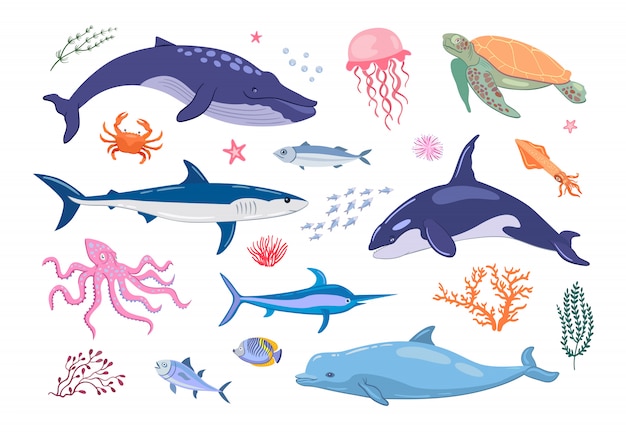 Marine Animals Flat Icon Set for Free Download