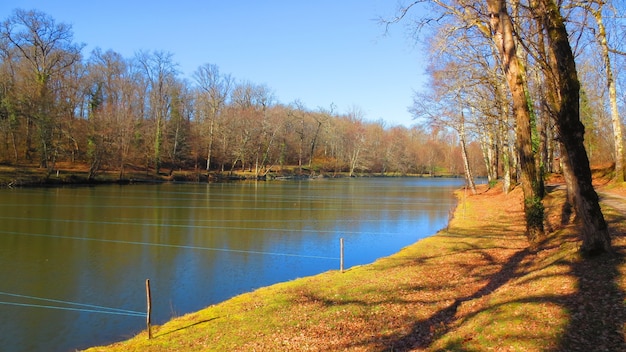 Scenic River Shot with String Markers on a Stake