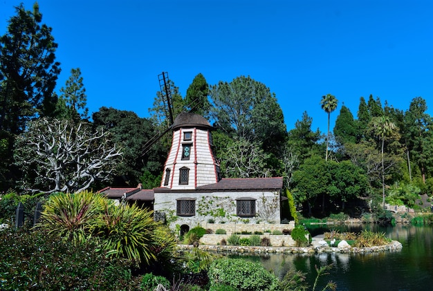 Country Estate with Swan Lake in Green Scenery