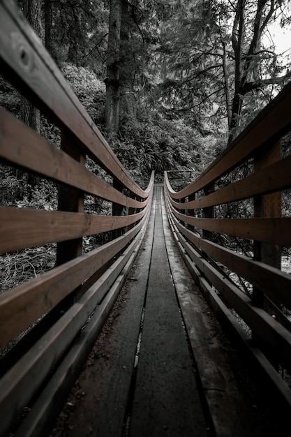 Vertical Shot of Wooden Bridge in Forest Covered in Trees