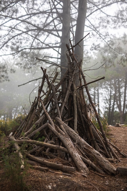 Camper life concept with branches shelter