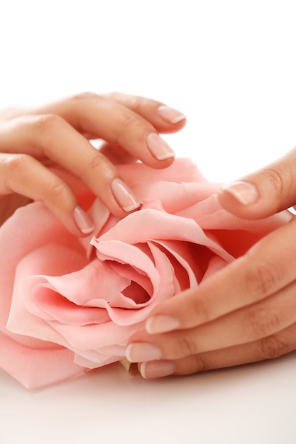 Female hands with pink rose – Femininity concept