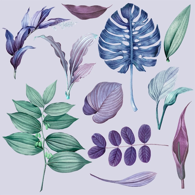 Purple Leaves Collection Vector Template – Free Download