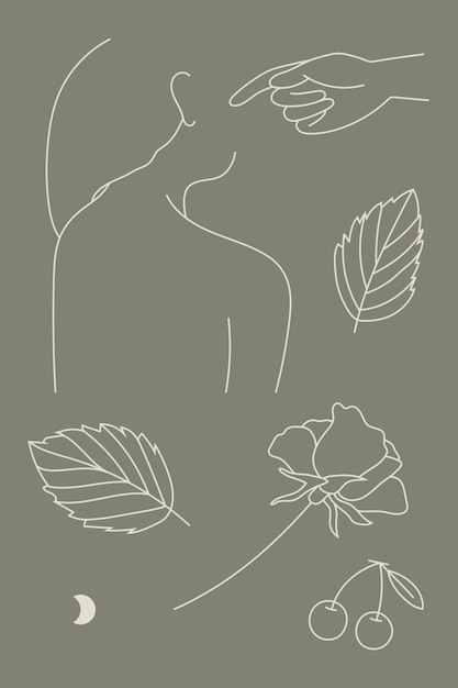 Feminine Line Art Collection Vector Templates for Free Download