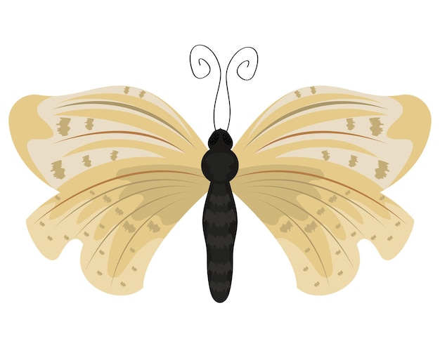 Beauty Beige Butterfly Insect Icon