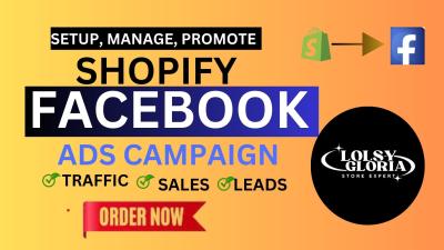 I will set up facebook ad to boost shopify sales video shopify ads marketng manager