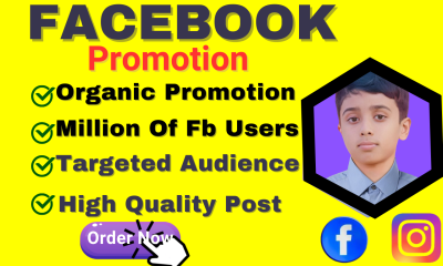 I Will do Organic facebook page promotion in USA