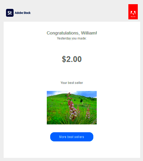 Is Adobe Stock Worth it in 2023 Adobe Stock Contributor Review