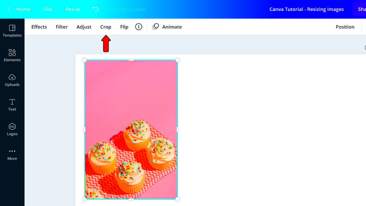 How to Change the Shape of a Photo in Canva Top Tips