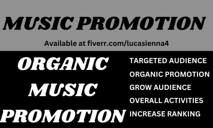 I Will Advertise to Promote Your Music on Spotify and Apple Music