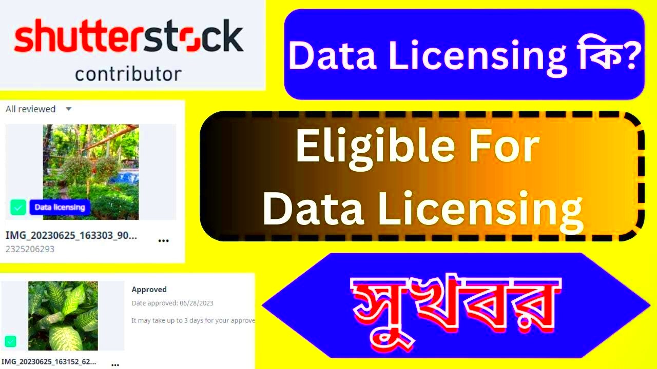 What is data licensing in Shutterstock contributor fund photo sales 