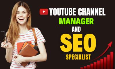 I Will Provide Expert Monthly YouTube SEO to Boost Your Channel