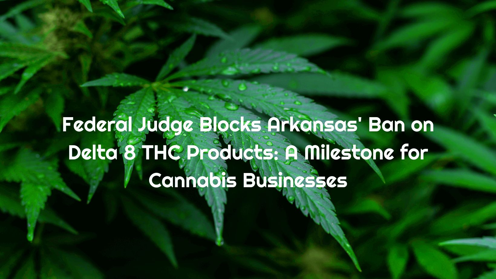 Federal Judge Blocks Arkansas Ban on Delta 8 THC Products A Mileston 