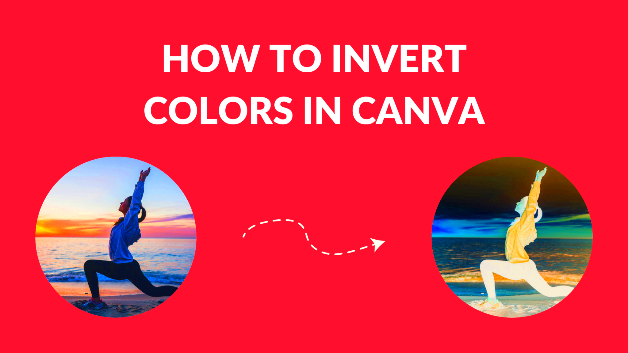 How to Invert Colors in Canva Canva Templates