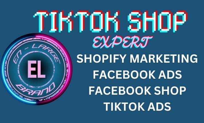 I Will Setup TikTok Ads and TikTok Shop to Boost Your Shopify Dropshipping Store Sales with SEO