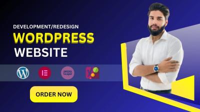 Do Professional WordPress Website Development and Redesign