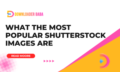 What the Most Popular Shutterstock Images Are