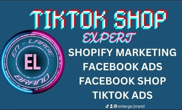 I will setup tiktok ads tiktok shop to boost shopify dropshipping store sales with SEO