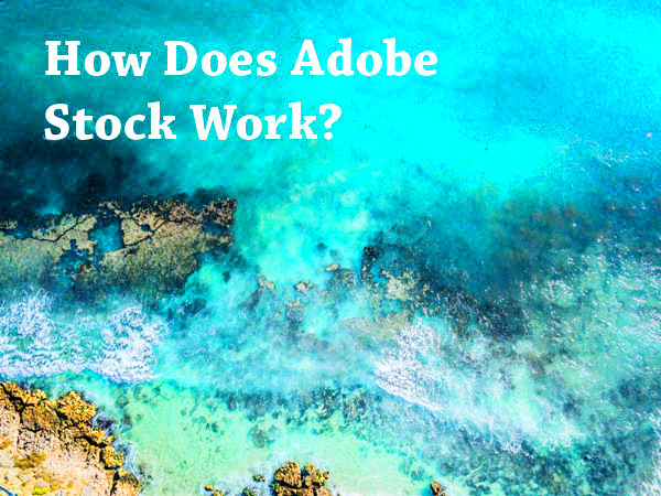 How Does Adobe Stock Work Successfully Selling Your Photos Photodoto