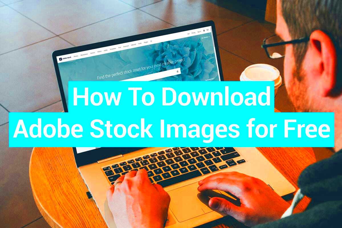 Best Ways to Get Adobe Stock Images for Free in 2022 Ebaqdesign