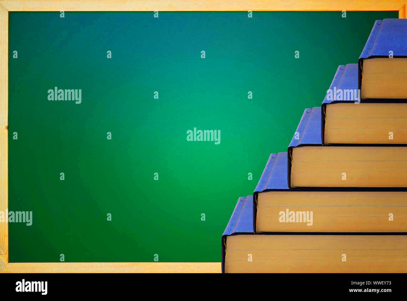 Education concept knowledge management idea growing stairs to 