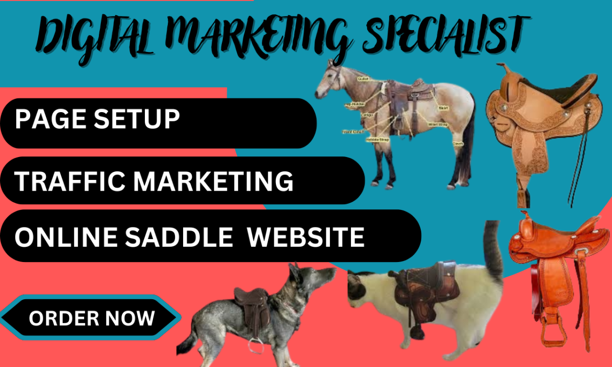 Design an Equestrian, Horse Saddle Website: Winning Products Hunting