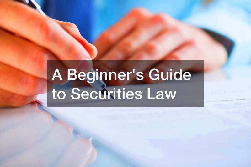 A Beginners Guide to Securities Law