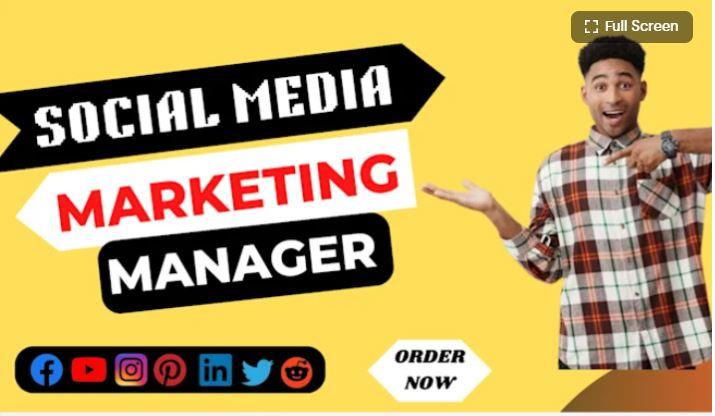 I Will Be Your Social Media Marketing Manager, Strategist, and Content Creator