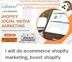 I Will Do Ecommerce Shopify Marketing, Boost Shopify Sales, TikTok Shop Manager Ads Set