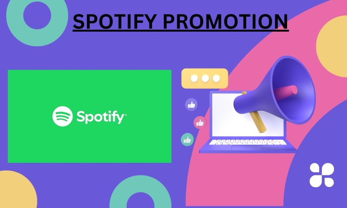 I Will Do Spotify Marketing, Organic Promotion & Sales Funnel for Your Music