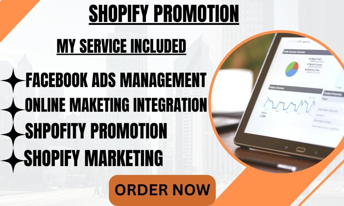 I will build shopify store shopify website shopify seo drop shipping for your business