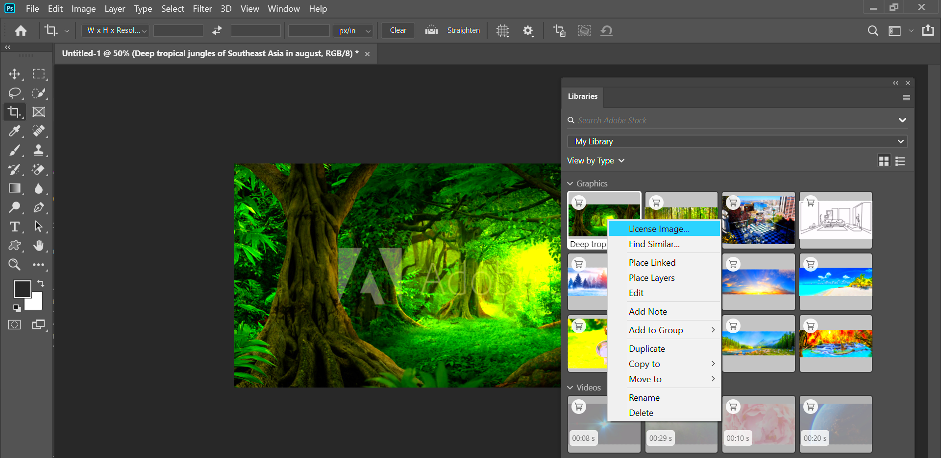 Find and use Adobe Stock assets in Creative Cloud apps