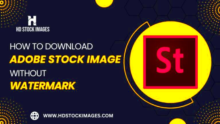 How to download Adobe Stock Image without watermark for free HD Stock 