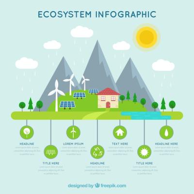 Ecosystem Infographics â Free Stock Photo for Easy Download