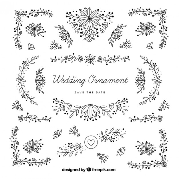 Hand Drawn Wedding Ornaments with Leaves – Download Free Stock Photo