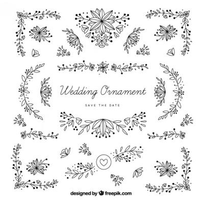 Hand Drawn Wedding Ornaments with Leaves – Download Free Stock Photo