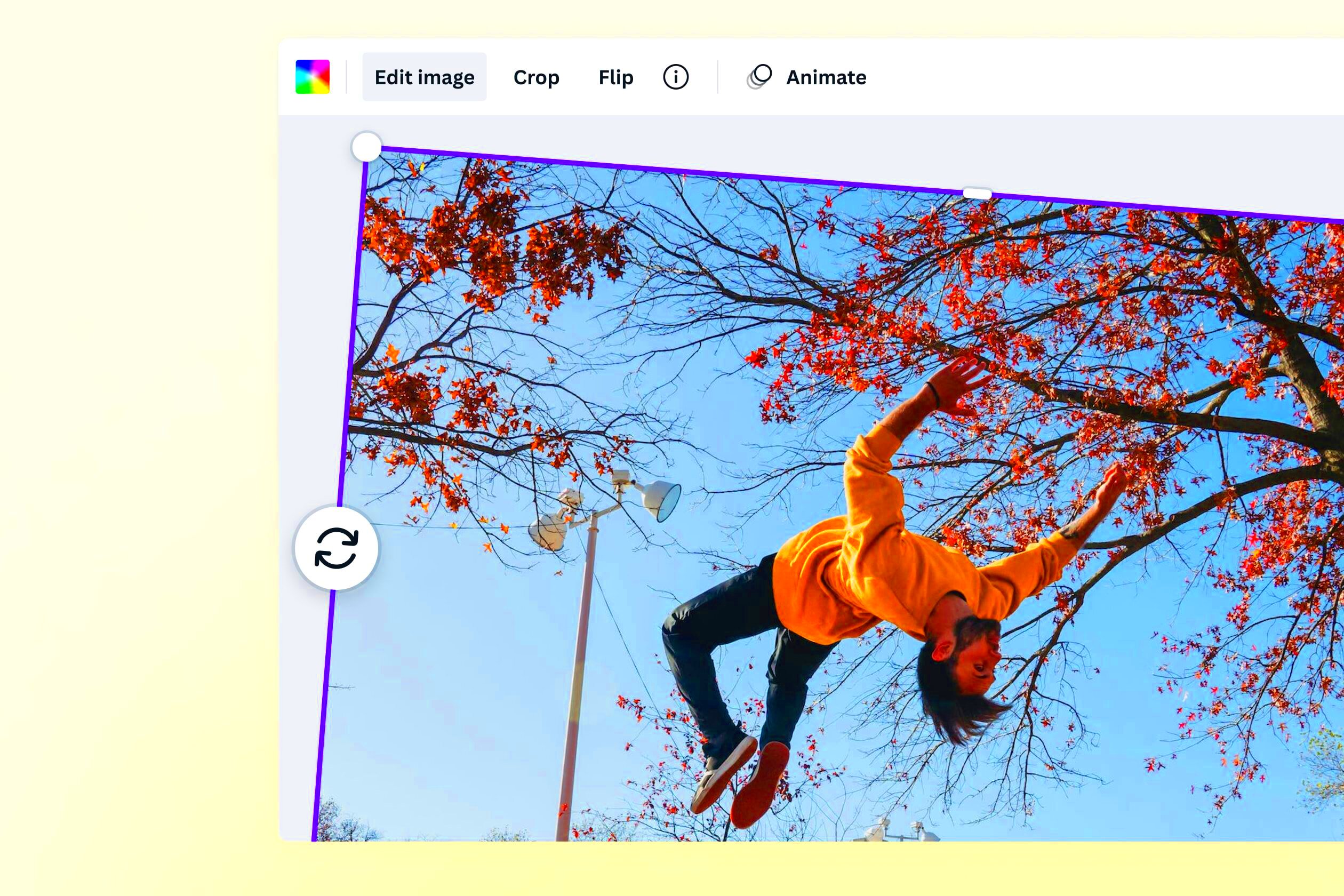 Image Rotator Rotate an Image Online for Free Canva