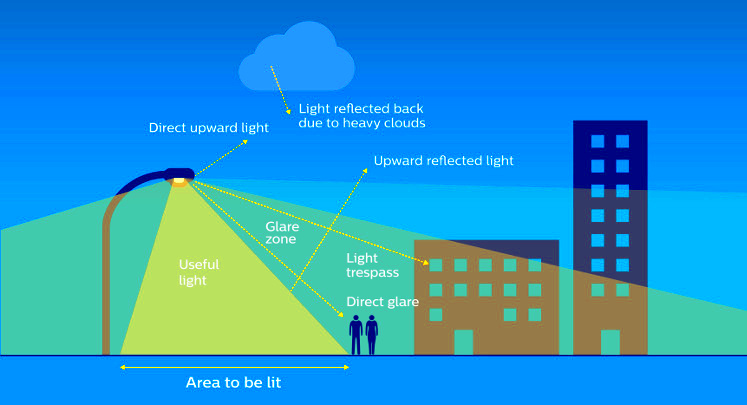 Lighting for both nature and people Philips lighting