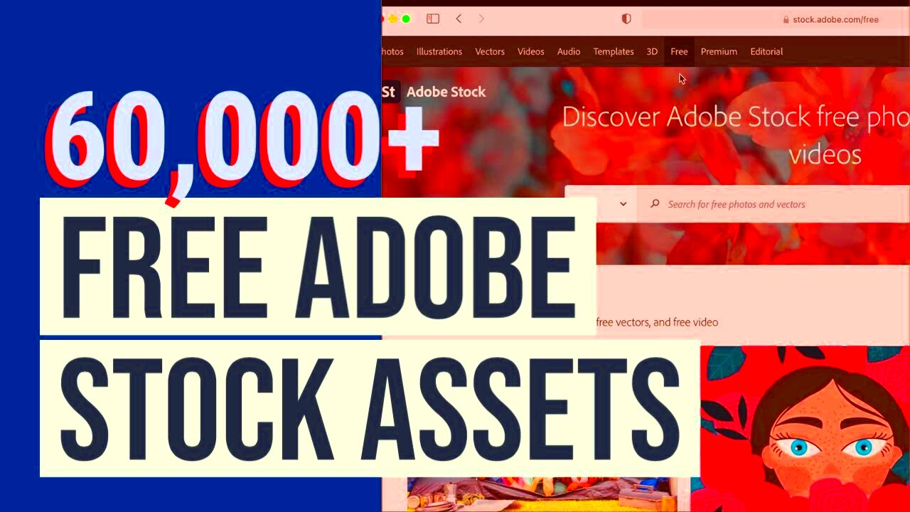 How to download FREE Adobe STOCK ASSETS and use them InDesign or 