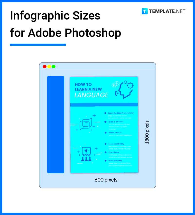 Infographic Size Dimension Inches mm cms Pixel