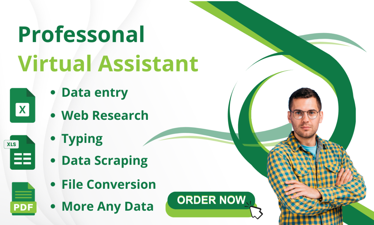 I Will Do Professional Virtual Assistant in Data Entry