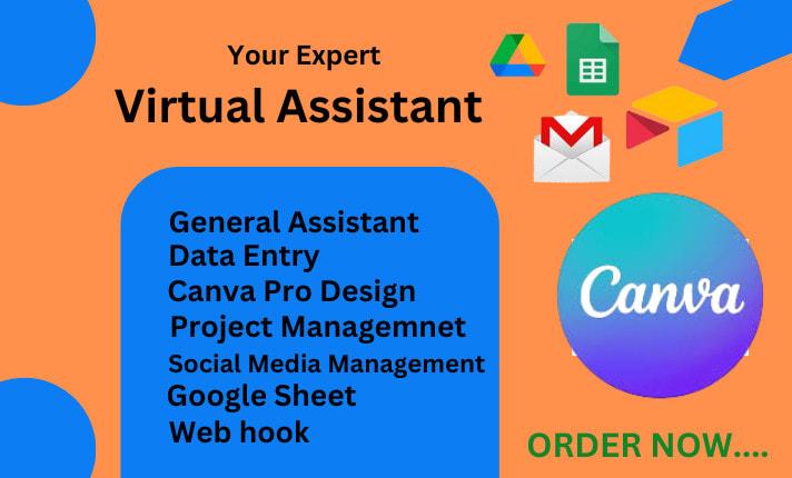 I Will Be Your Executive Virtual Assistant, Canva Pro Virtual Assistant, Data Entry Expert