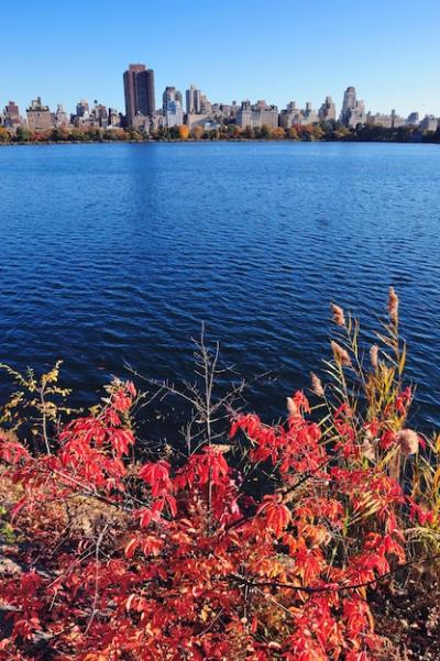 Manhattan in Autumn – Free Stock Photo for Download