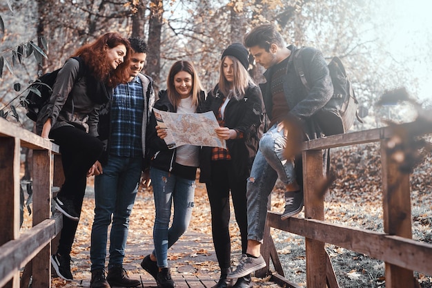 Friends Exploring Autumn Park with Map – Free Stock Photo