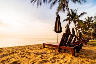 Beautiful Coconut Palm Tree on the Beach and Sea – Free Download