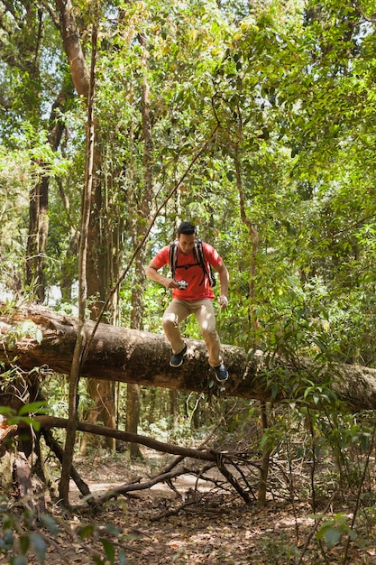 Hiker Climbing Over Tree Trunk – Free Download