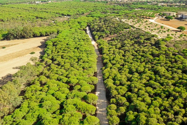 Aerial Panoramic Landscape View of a Road in the Forest – Free Download