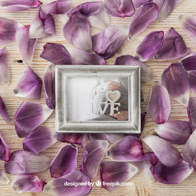 Photo Frame Surrounded by Colorful Petals – Free Download