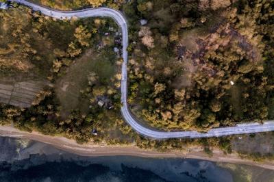 Curvy Road Surrounded by Grassy Fields and Trees Near the Sea – Free Download