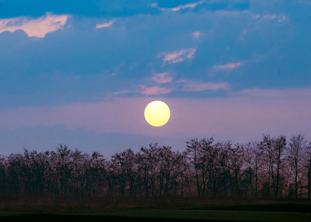 Stunning Sunset Light: Free Stock Photo Download